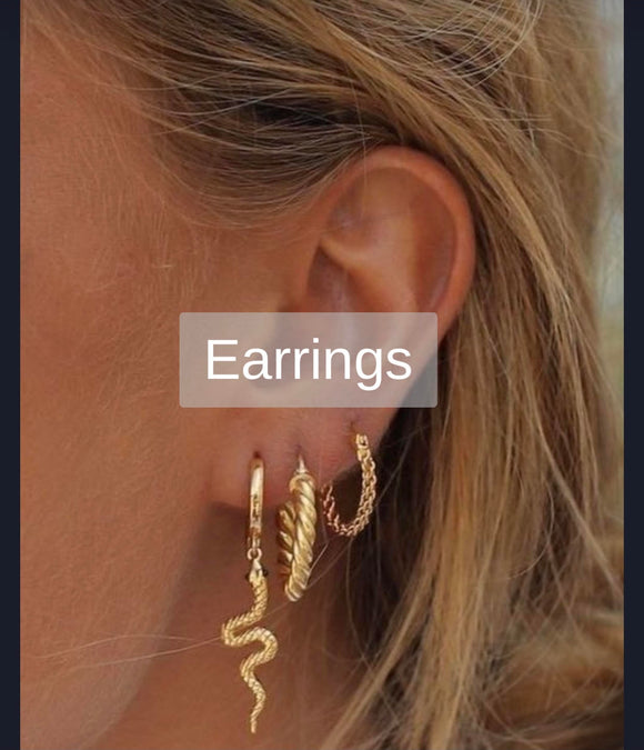 Earrings